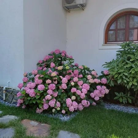 The Pearl Of Balaton Villa *
