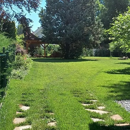 The Pearl Of Balaton 西格利盖特