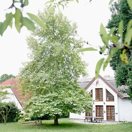 The Pearl Of Balaton 别墅