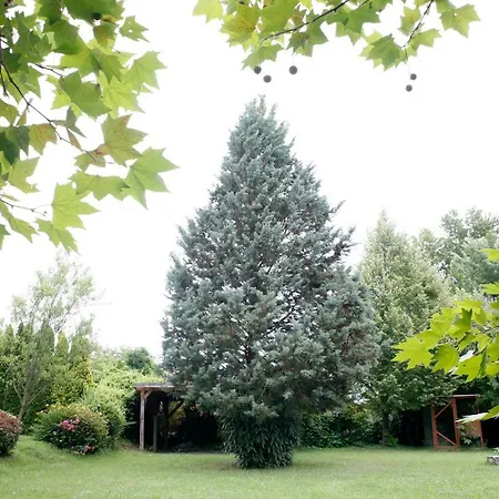 The Pearl Of Balaton 别墅