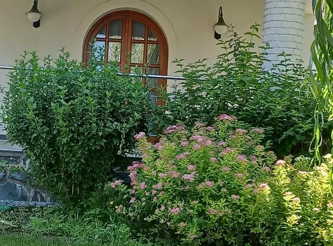 The Pearl Of Balaton סיגליגט