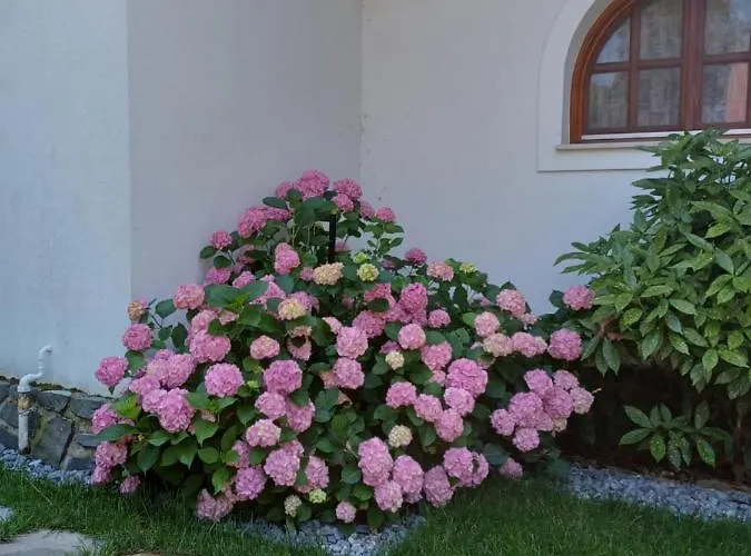 The Pearl Of Balaton וילה *