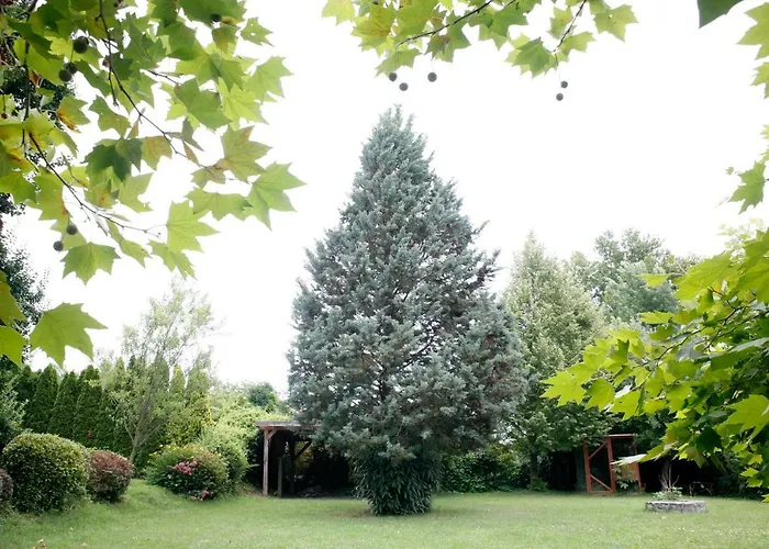 The Pearl Of Balaton וילה